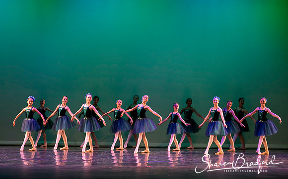 Khachaturian Waltz pc Sharen Bradford-3633