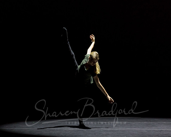 Same but Different pc Sharen Bradford-0334