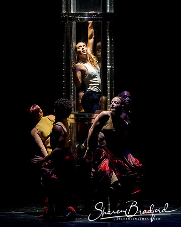 DIAVOLO - Voyage pc Sharen Bradford-0157