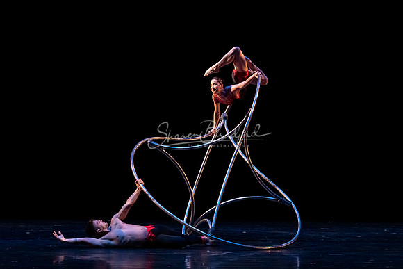Dreamcatcher_MOMIX pc Sharen Bradford-42333
