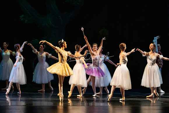 Ballet NTX Sleeping Beauty pc Sharen Bradford-1319