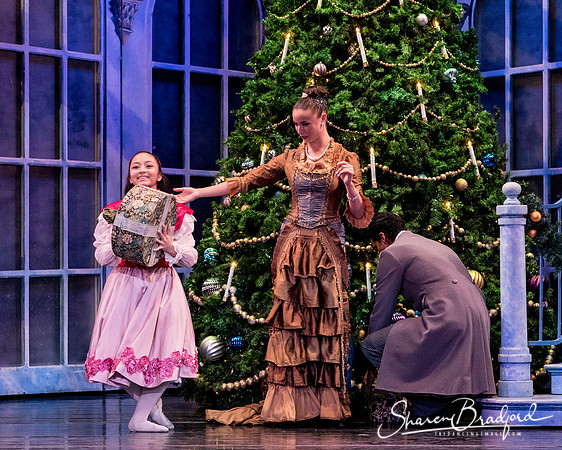 Nutcracker matinee pc Sharen Bradford-4203