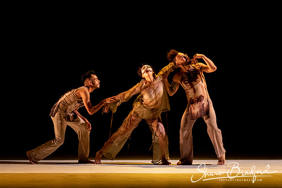 Delfos Danza pc Sharen Bradford-0379