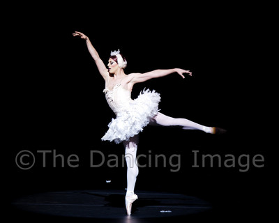 Dying Swan-0496