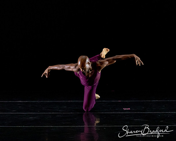 DBDT Execution of a Sentiment pc Sharen Bradford-1091