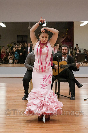 Flamenco-2-69