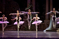TB Sleeping Beauty Wed.-0052