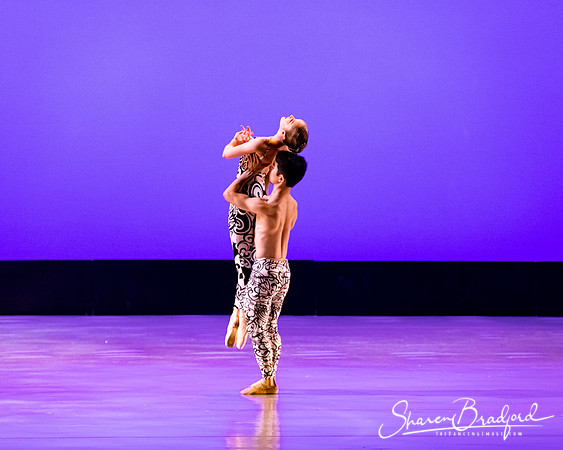 Ballet 37 pc Sharen Bradford-0433