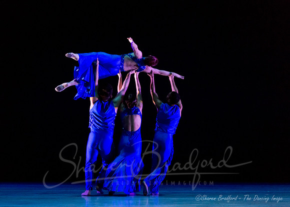 Following Echoes - pc Sharen Bradford-0927