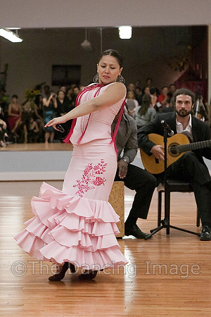 Flamenco-2-72