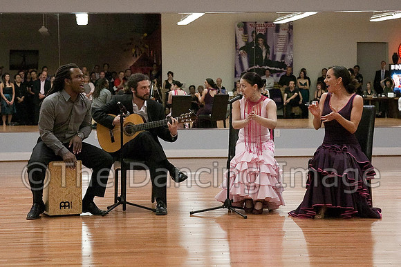 Flamenco-2-46
