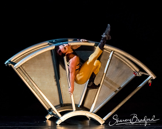 DIAVOLO - Voyage pc Sharen Bradford-0552