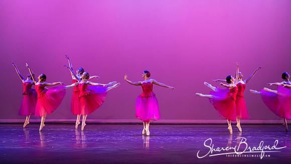 Waltz of the Flowers pc Sharen Bradford-2883