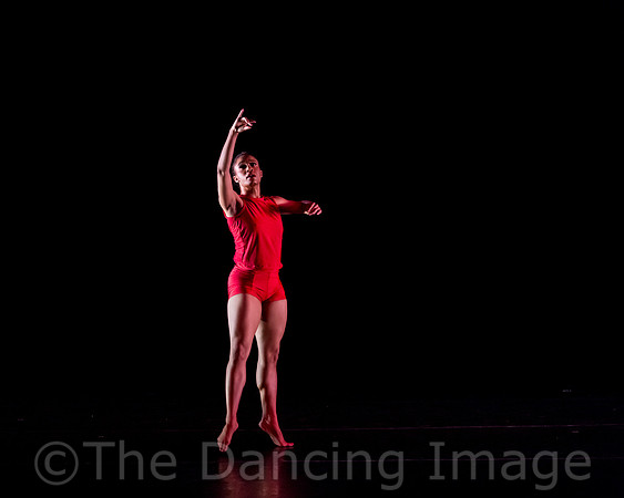 IMG_1228