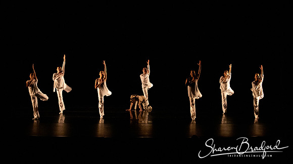 FW Academy of Fine Arts pc Sharen Bradford-2871