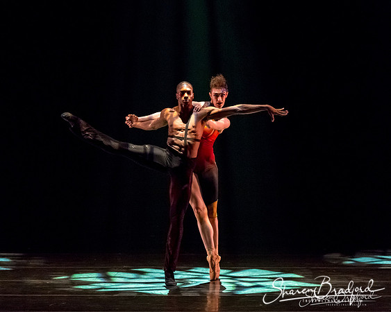 Stardust-pc Sharen Bradford-1211