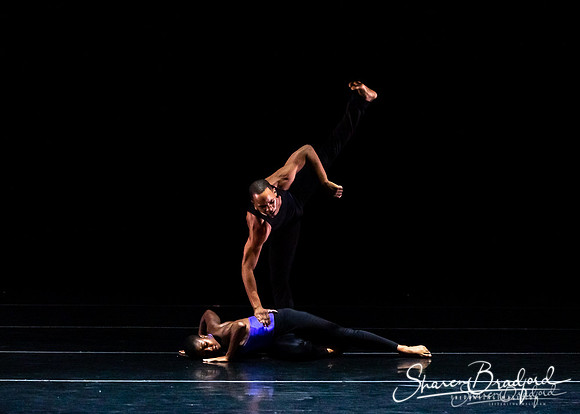 DBDT Execution of a Sentiment pc Sharen Bradford-0833