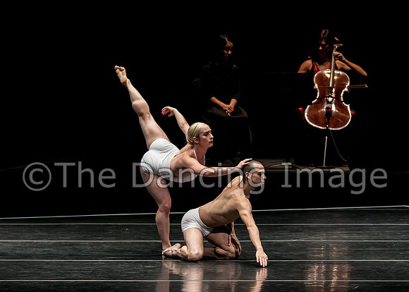 Spectrum Dance - LOVE-0558