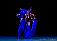 Following Echoes - pc Sharen Bradford-0926