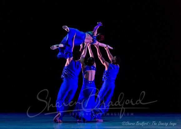 Following Echoes - pc Sharen Bradford-0926