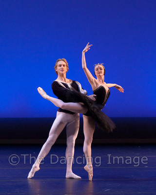 Black Swan-1094