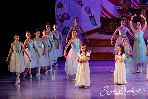 CCBT Nutcracker 19 pc Sharen Bradford-5340