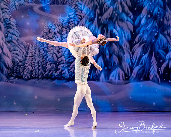 CCBT Nutcracker 19 pc Sharen Bradford-4860