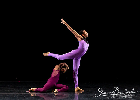 DBDT Execution of a Sentiment pc Sharen Bradford-0951