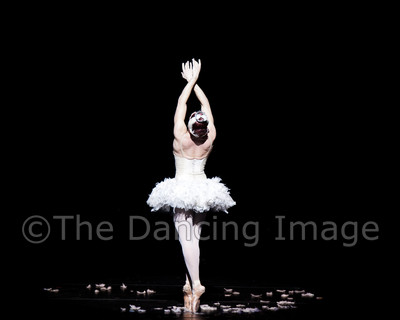Dying Swan-0527