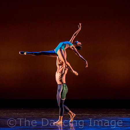 Flower in the Rain - von Schlehenried-4606