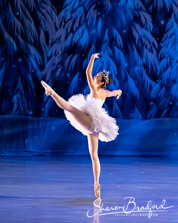 CCBT Nutcracker 19 pc Sharen Bradford-4896