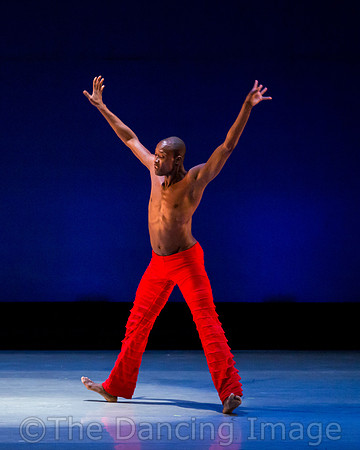 Alvin Ailey ADT-0046