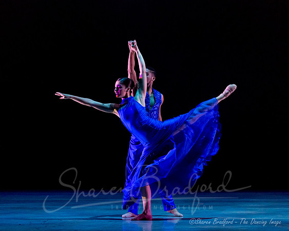 Following Echoes - pc Sharen Bradford-0852