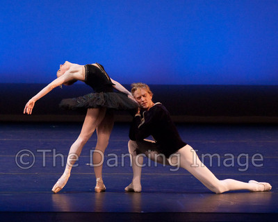 Black Swan-1233