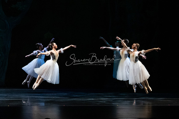 Ballet NTX Sleeping Beauty pc Sharen Bradford-1396