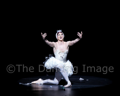 Dying Swan-0585