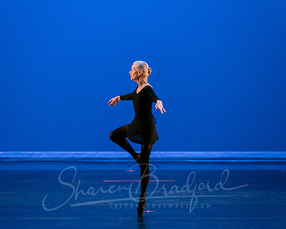 Suzelle Poole- Romance-1290