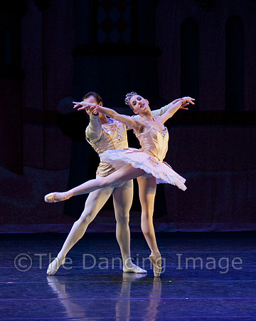 CPA Sun 2011-3965