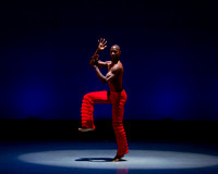 Alvin Ailey ADT-0091