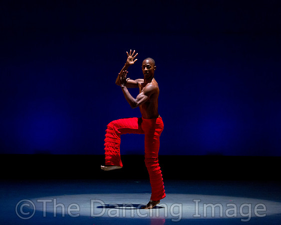 Alvin Ailey ADT-0091