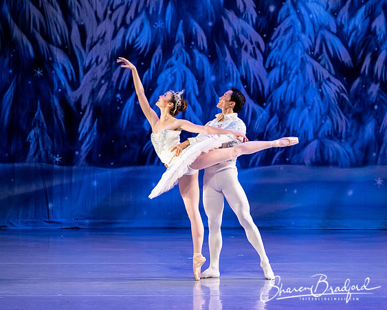 CCBT Nutcracker 19 pc Sharen Bradford-4877