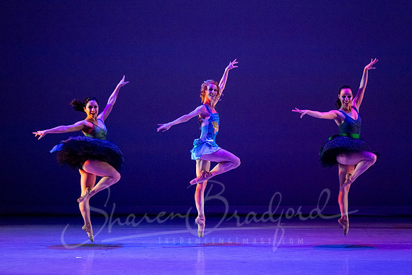 Circus Alius - pc Sharen Bradford-0558