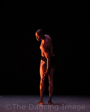 Alvin Ailey ADT-2235