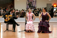 Flamenco-2