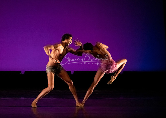 Art Songs Pas de Deux pc Sharen Bradford-41107
