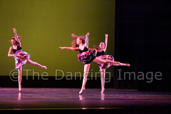 Bay Area Houston Ballet-1055