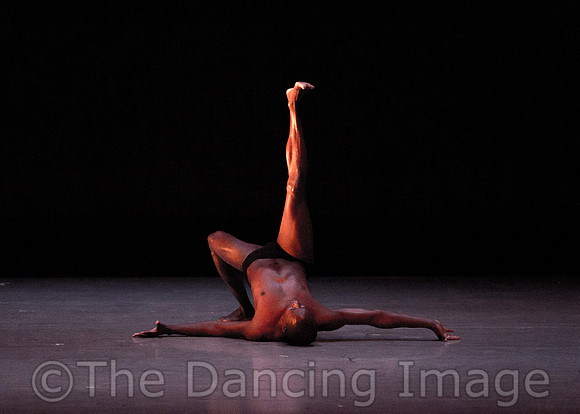 Alvin Ailey ADT-2231