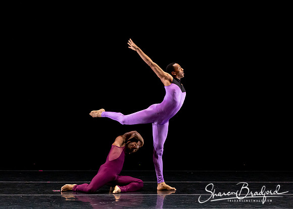 DBDT Execution of a Sentiment pc Sharen Bradford-0951