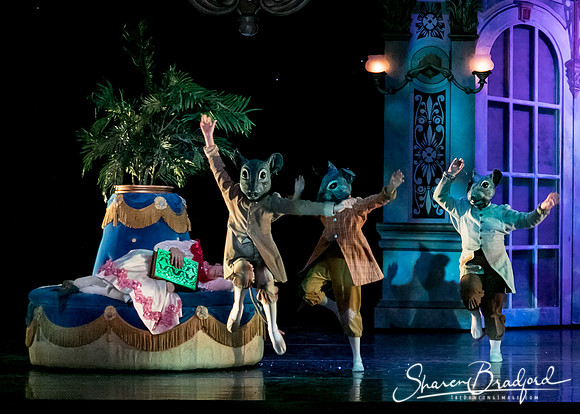 Nutcracker Battle eve pc Sharen Bradford-6397