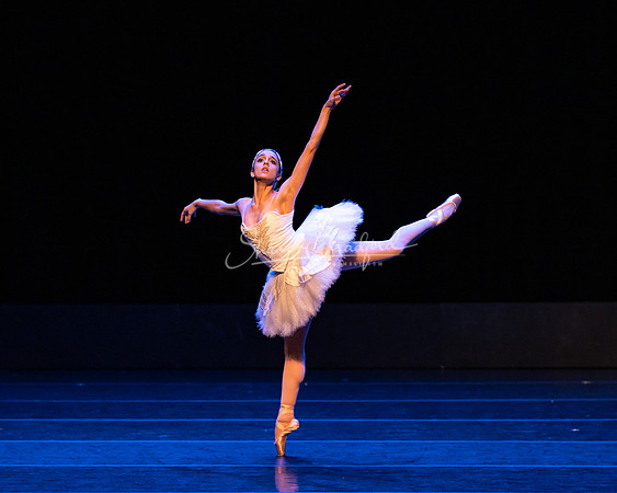 Dying Swan pc Sharen Bradford-1211